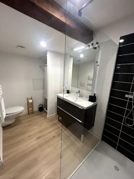 Cocon Chaleureux Au Coeur De Mirepoix Appartement *