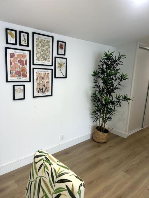 Cocon Chaleureux Au Coeur De Mirepoix Apartment